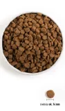 orijen-senior-2kg-wiek-zwierzecia-psy-starsze