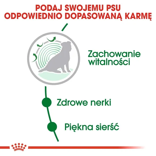 royal-canin-mini-ageing-12-35kg-rodzaj-karmy-ekologiczna
