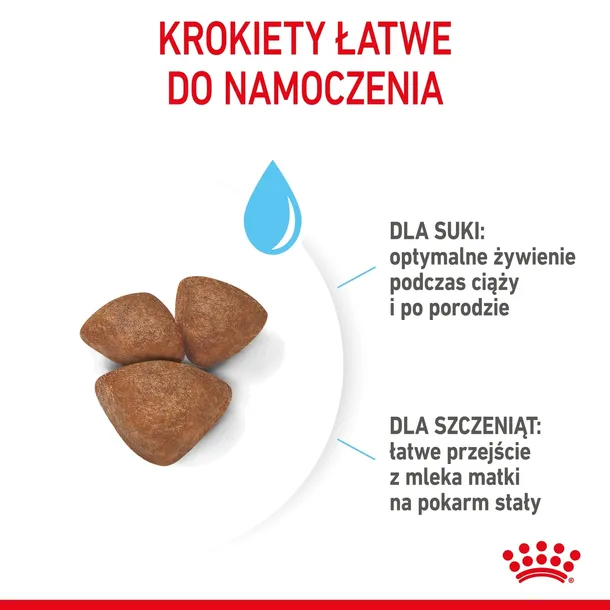 royal-canin-mini-starter-1kg-smak-drob