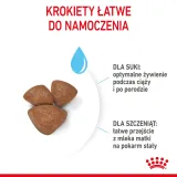 royal-canin-mini-starter-1kg-smak-drob