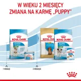royal-canin-mini-starter-1kg-waga-z-opakowaniem-1-02-kg