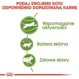 royal-canin-outdoor-2kg-karmy-specjalne-nie-dotyczy