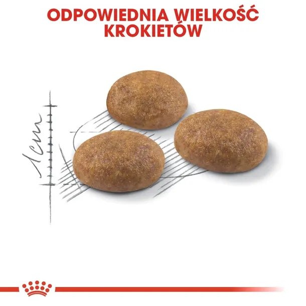royal-canin-outdoor-2kg-rodzaj-karmy-bio