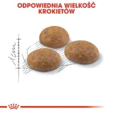 royal-canin-outdoor-2kg-rodzaj-karmy-bio