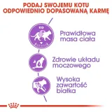 royal-canin-sterilised-37-4kg-karmy-specjalne-dla-kotow-sterylizowanych