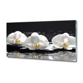 obraz-szklany-na-sciane-orchidea-100x50