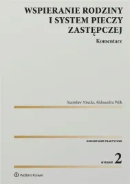 wspieranie-rodziny-i-system-pieczy-zastepczej