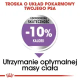 royal-canin-ccn-medium-sterilised-12kg-karmy-specjalne-dla-psow-z-nadwaga