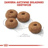 royal-canin-ccn-medium-sterilised-12kg-rodzaj-karmy-hipoalergiczna
