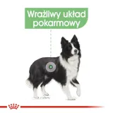 royal-canin-ccn-medium-digestive-care-12kg-karmy-specjalne-dla-psow-z-nadwrazliwoscia-pokarmowa