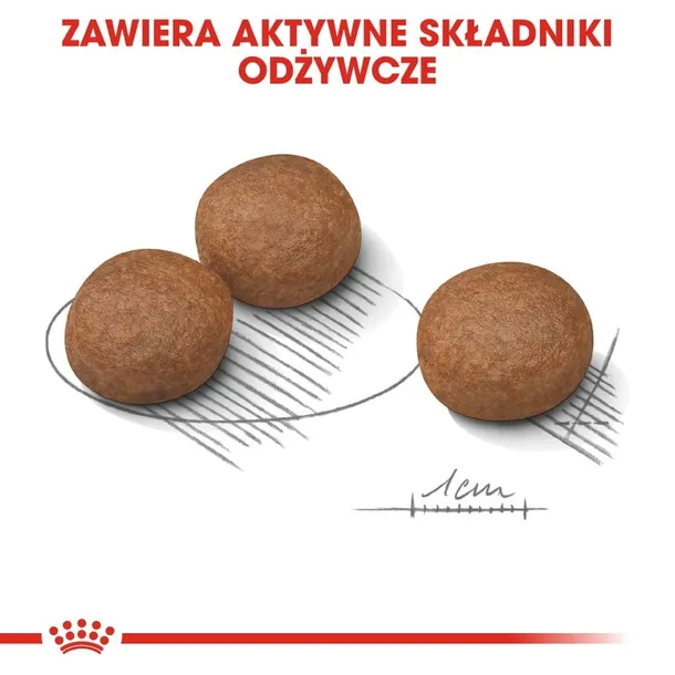 royal-canin-ccn-medium-digestive-care-12kg-smak-kurczak