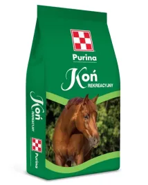 purina-kon-rekreacyjny-25kg