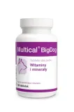 dolvit-multical-bigdog-90tab