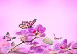 tapeta-flizelinowa-orchidea-motyl-208x146
