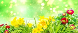 tapeta-flizelinowa-wielkanoc-kwiaty-250x104