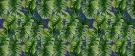 tapeta-flizelinowa-tropikalna-monstera-250x104
