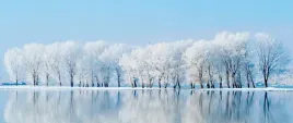 tapeta-flizelinowa-zima-250x104