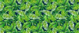 tapeta-flizelinowa-tropikalne-liscie-250x104