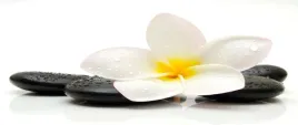 tapeta-flizelinowa-plumeria-kamienie-250x104