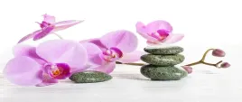 tapeta-flizelinowa-orchidea-spa-250x104