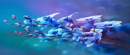 tapeta-flizelinowa-orchidea-niebieski-250x104