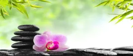 tapeta-flizelinowa-orchidea-i-kamienie-250x104