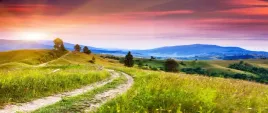 tapeta-flizelinowa-kwieciste-wzgorza-250x104