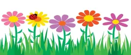 tapeta-flizelinowa-kwiaty-250x104