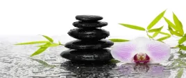 tapeta-flizelinowa-kamienie-i-orchidea-250x104