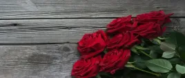 tapeta-flizelinowa-czerwone-roze-250x104
