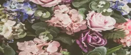 tapeta-flizelinowa-bukiet-kwiaty-250x104