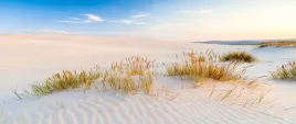fototapeta-flizelinowa-wydmy-morze-250x104