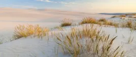fototapeta-flizelinowa-morze-baltyckie-250x104