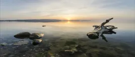 fototapeta-flizelinowa-morze-baltyckie-250x104