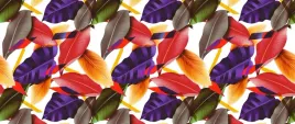 fototapeta-flizelinowa-liscie-i-kwiaty-250x104
