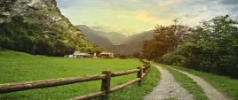 fototapeta-flizelinowa-alpy-szwajcarskie-250x104