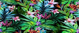 fototapeta-flizelina-tropikalne-kwiaty-250x104