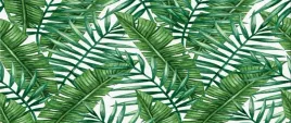 fototapeta-flizelina-liscie-palmowe-250x104