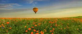 tapeta-flizelinowa-laka-balon-250x104