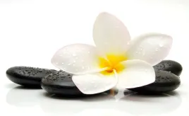 tapeta-flizelinowa-plumeria-kamienie-416x254