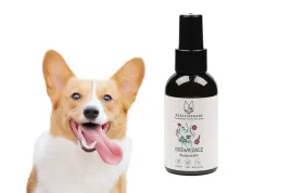 spray-do-czyszczenia-zebow-dla-psa-odswiezajacy