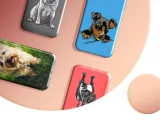 etui-do-xiaomi-redmi-note-12-pro-5g-note-12-pro-speed-poco-x5-pro-psy-waga-z-opakowaniem-0-1-kg