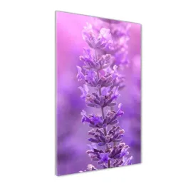 foto-obraz-szklo-hartowane-pole-lawendy-50x100-cm