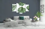 obraz-szklo-akrylowe-tryptyk-scienny-monstera-stan-nowy