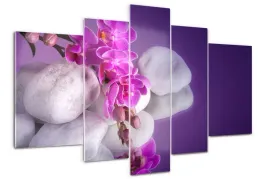 obraz-szklo-akrylowe-tryptyk-scienny-orchidea