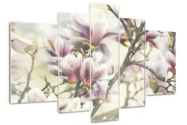 obraz-szklo-akrylowe-tryptyk-scienny-magnolia