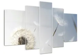 obraz-szklo-akrylowe-tryptyk-dmuchawiec-kwiaty