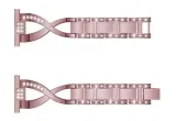 bransoleta-do-galaxy-watch-active-active-2-40-44-material-stal
