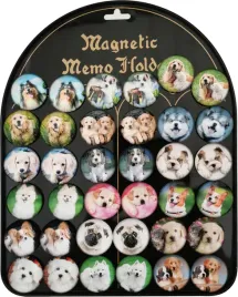 magnesy-psy-36-szt-mg-0105