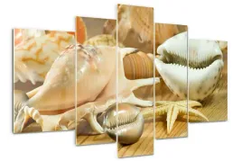 obraz-akrylowy-tryptyk-zdjecie-muszle-na-drewnie